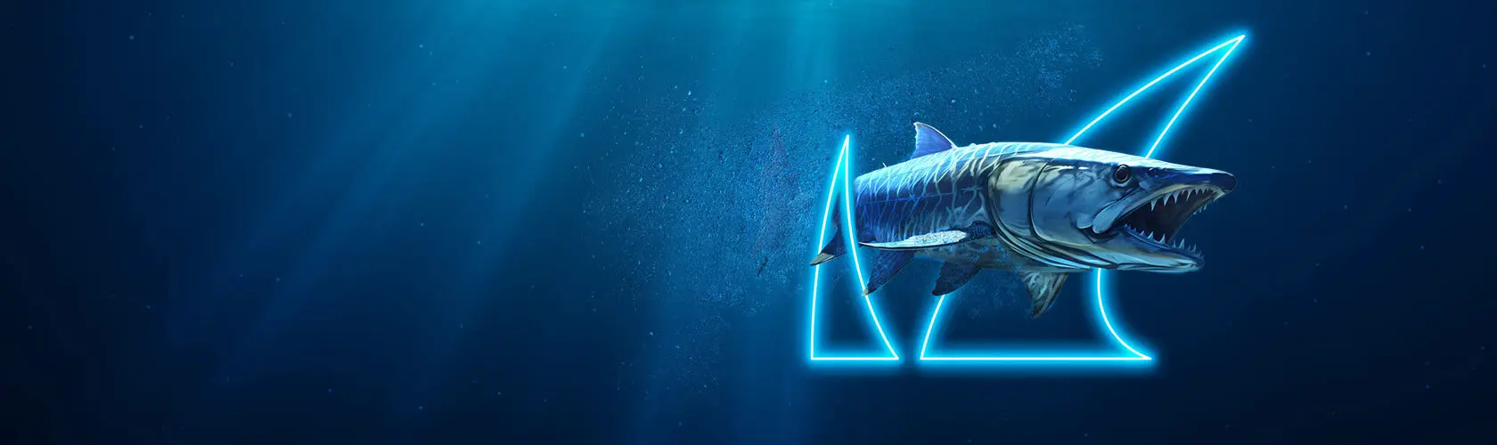 Barracuda