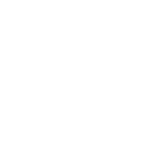 Tailored AnyDesk enterprise solutions for your business